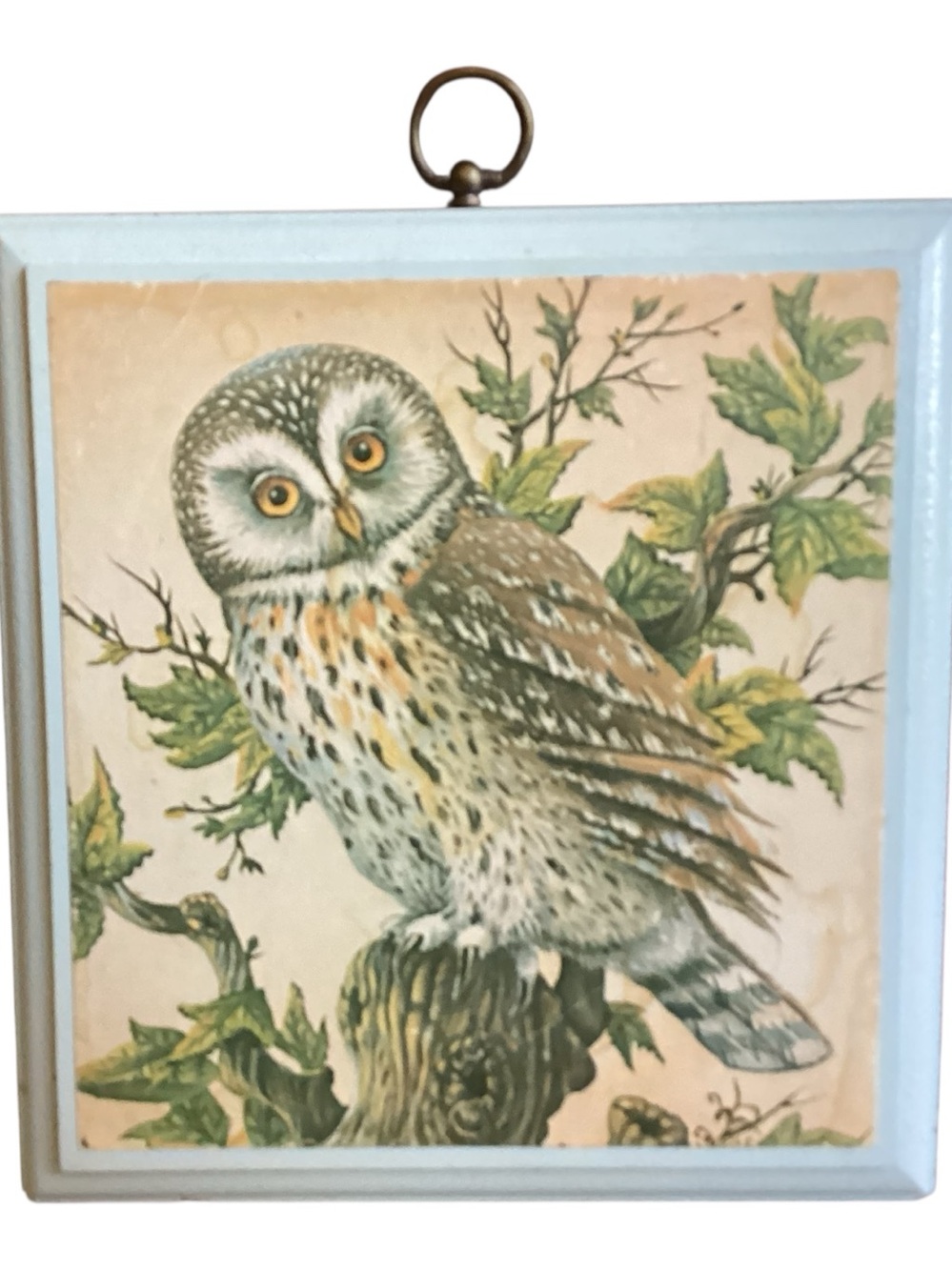 Vintage Hallmark 70’s Owl Print by Glen Loates Wall Plaque